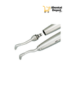 PROPHY MATE NEO GRIS B2