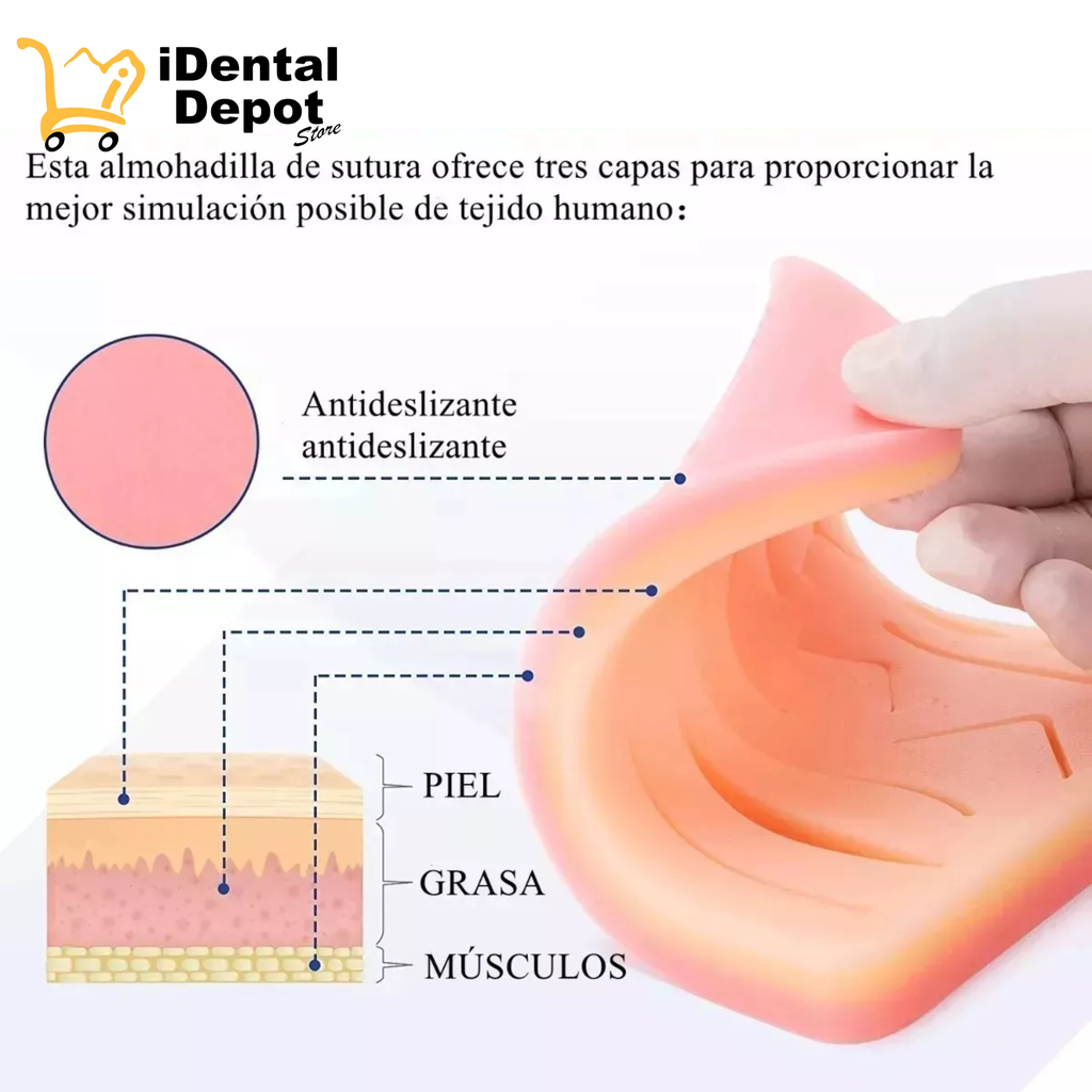 Kit De Práctica De Suturas Modelos Anatómicos Para Estudiant