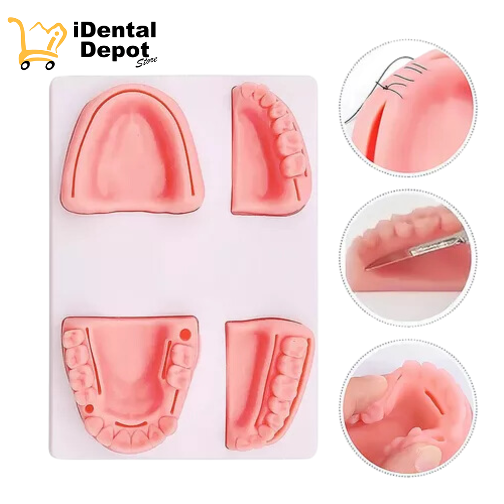 Modelo Dental Pad 4 Piezas Para Ejercicios De Sutura
