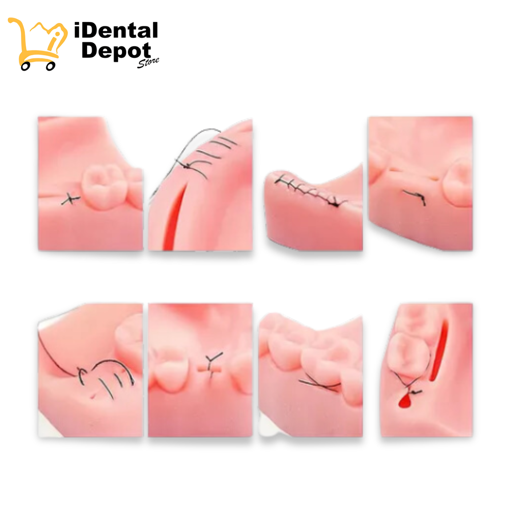 Modelo Dental Pad 4 Piezas Para Ejercicios De Sutura