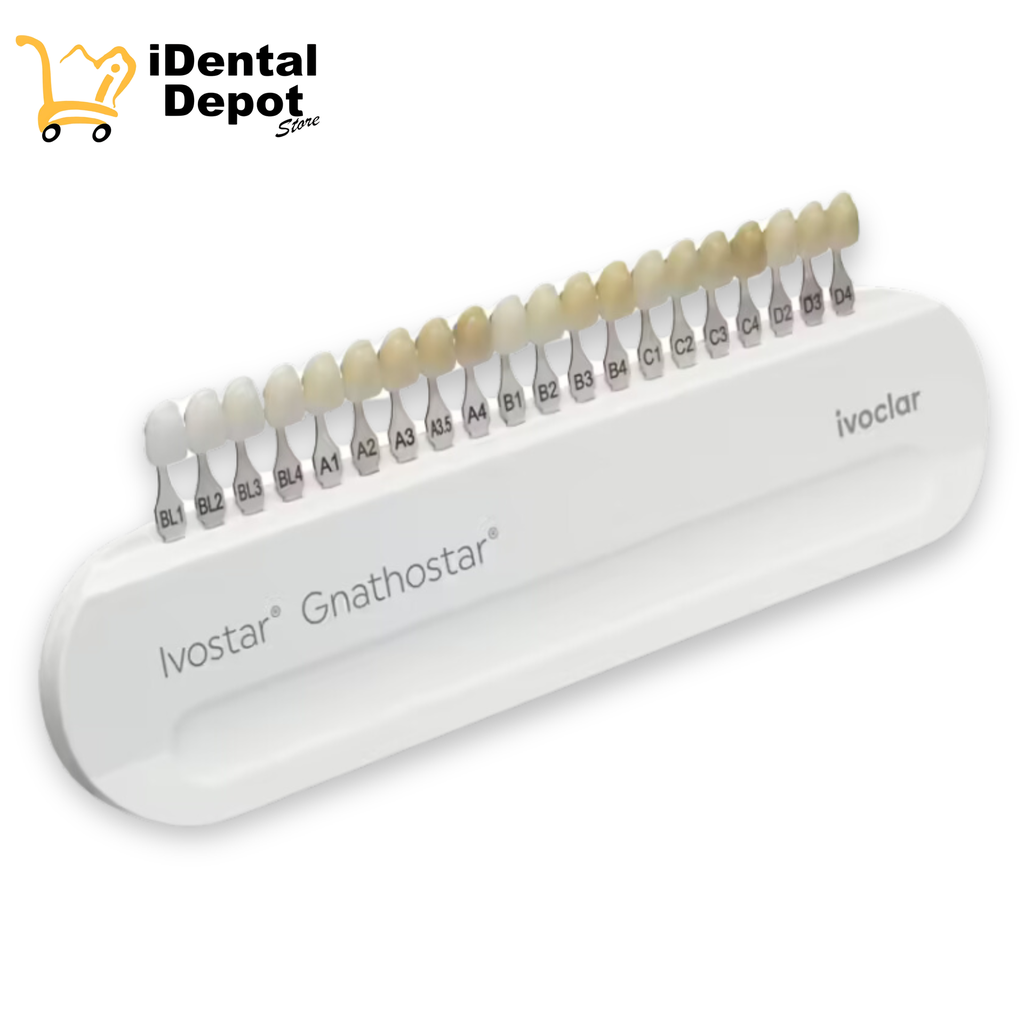 DIENTE GNATHOSTAR JUEGO DE 8 A-D SD80 A3.5