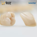 DIENTE IVOSTAR JUEGO DE 6 A-D S42 A1