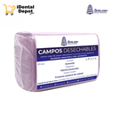 CAMPOS BOLSA CON 50 VIOLETA ANELSAM
