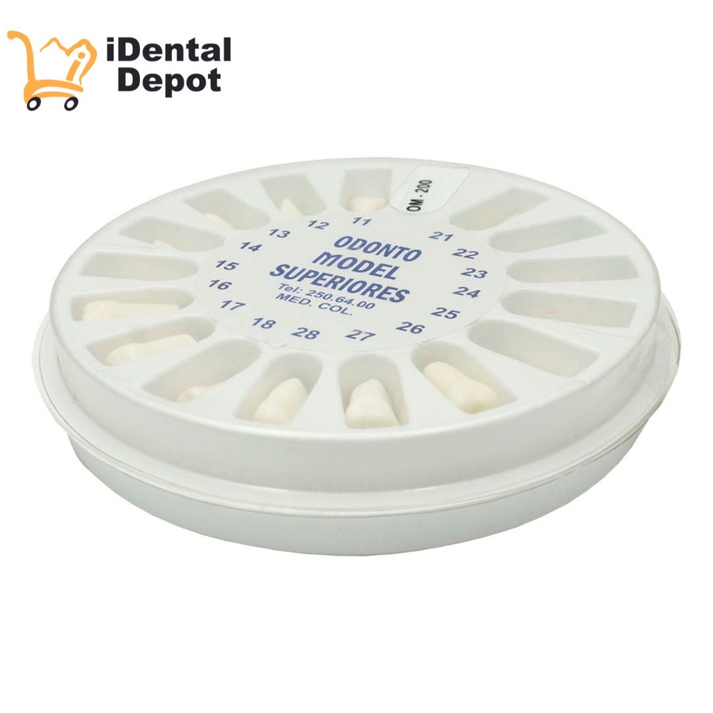 DIENTES PARA TIPODONTO CON 32 TIPO NISSI