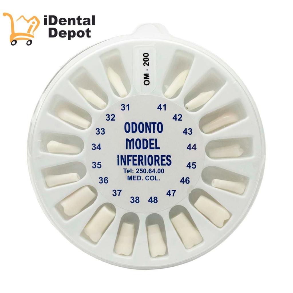 DIENTES PARA TIPODONTO CON 32 TIPO NISSI