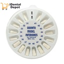 DIENTES PARA TIPODONTO CON 32 TIPO NISSI