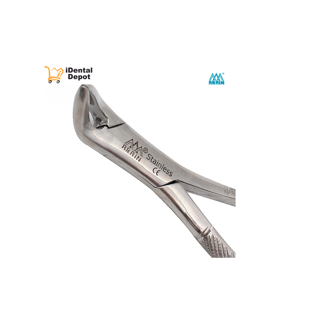 FORCEP # 151 ANTER/CANINO/PREMO-INF ARAIN