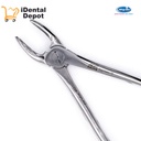 FORCEP # 1 TIPO INGLES ANATOMICO ARAIN