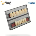 DIENTE IVOSTAR JUEGO DE 6 A-D I14 A3