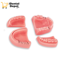 Modelo Dental Pad 4 Piezas Para Ejercicios De Sutura