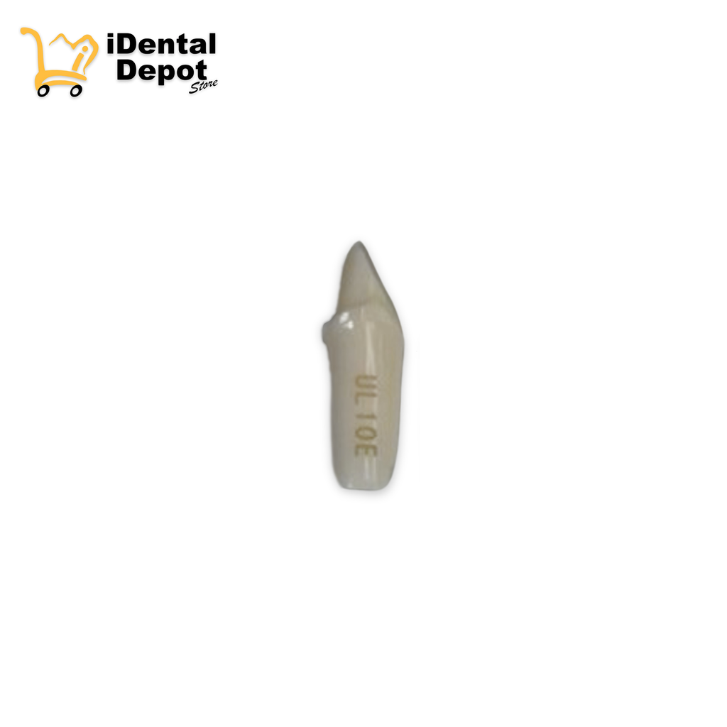 MUÑON NISSIN #21-UL10E