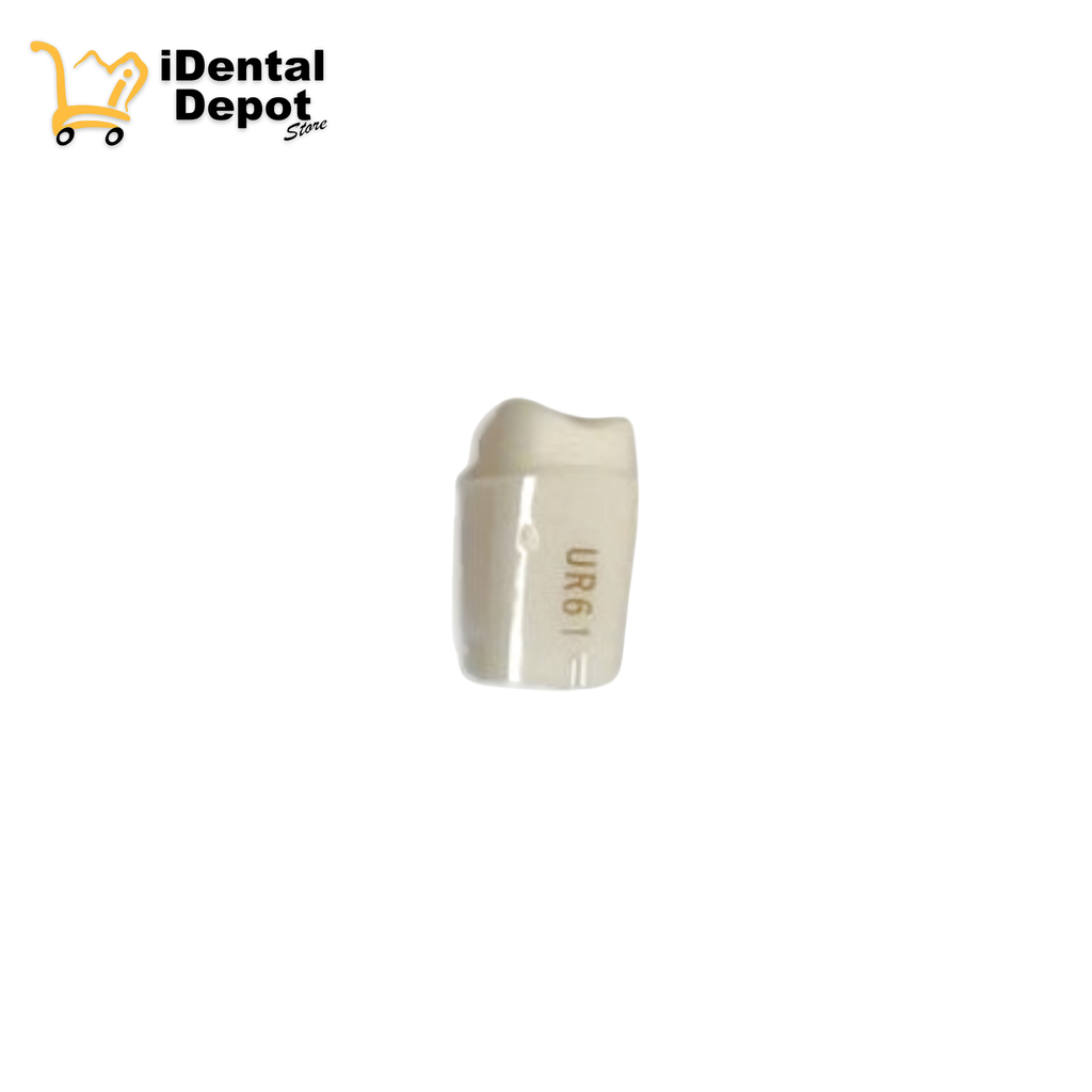 MUÑON NISSIN # 16-UR61