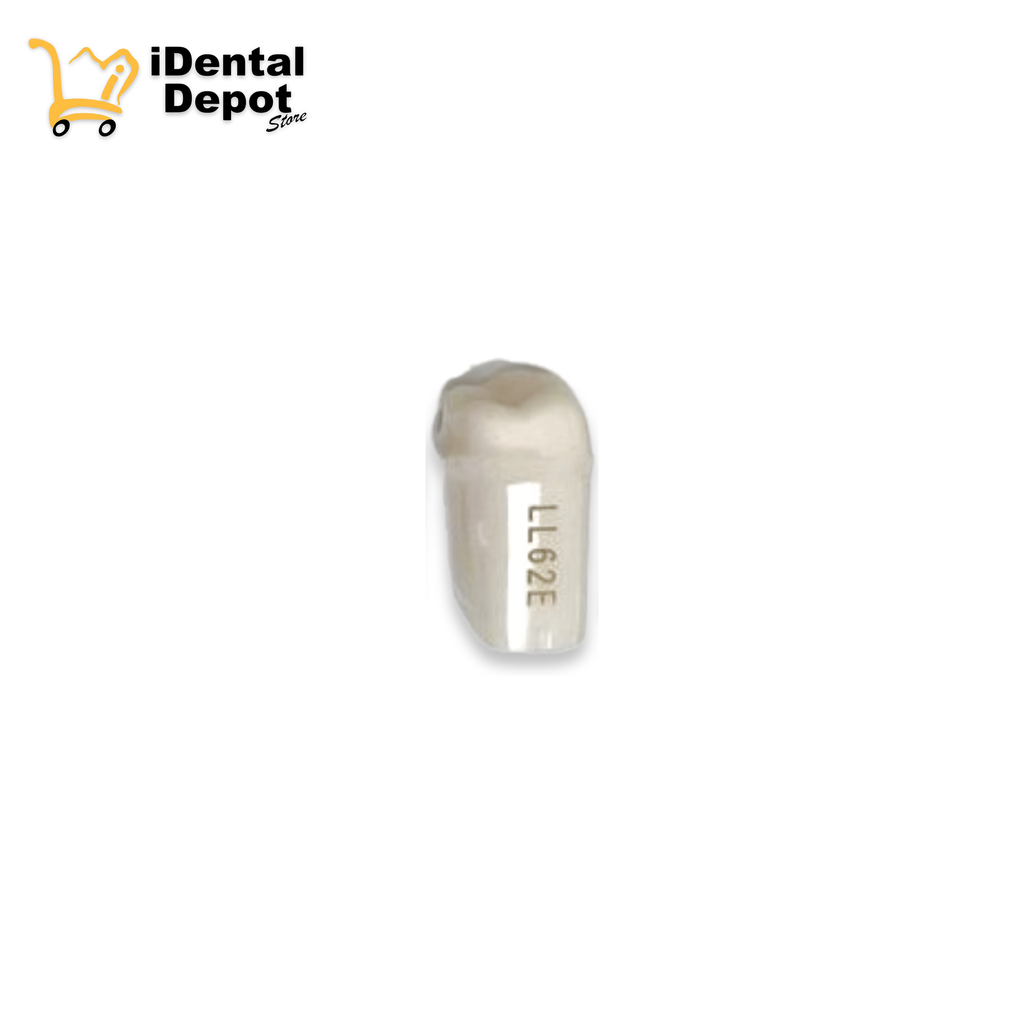 MUÑON NISSIN #36-LL62E