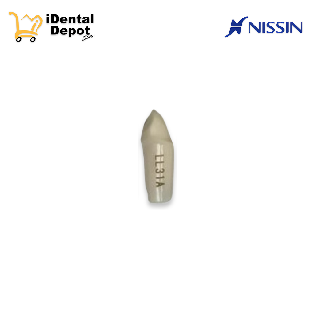 [13-A25ALL31A] MUÑON NISSIN #33-LL31A