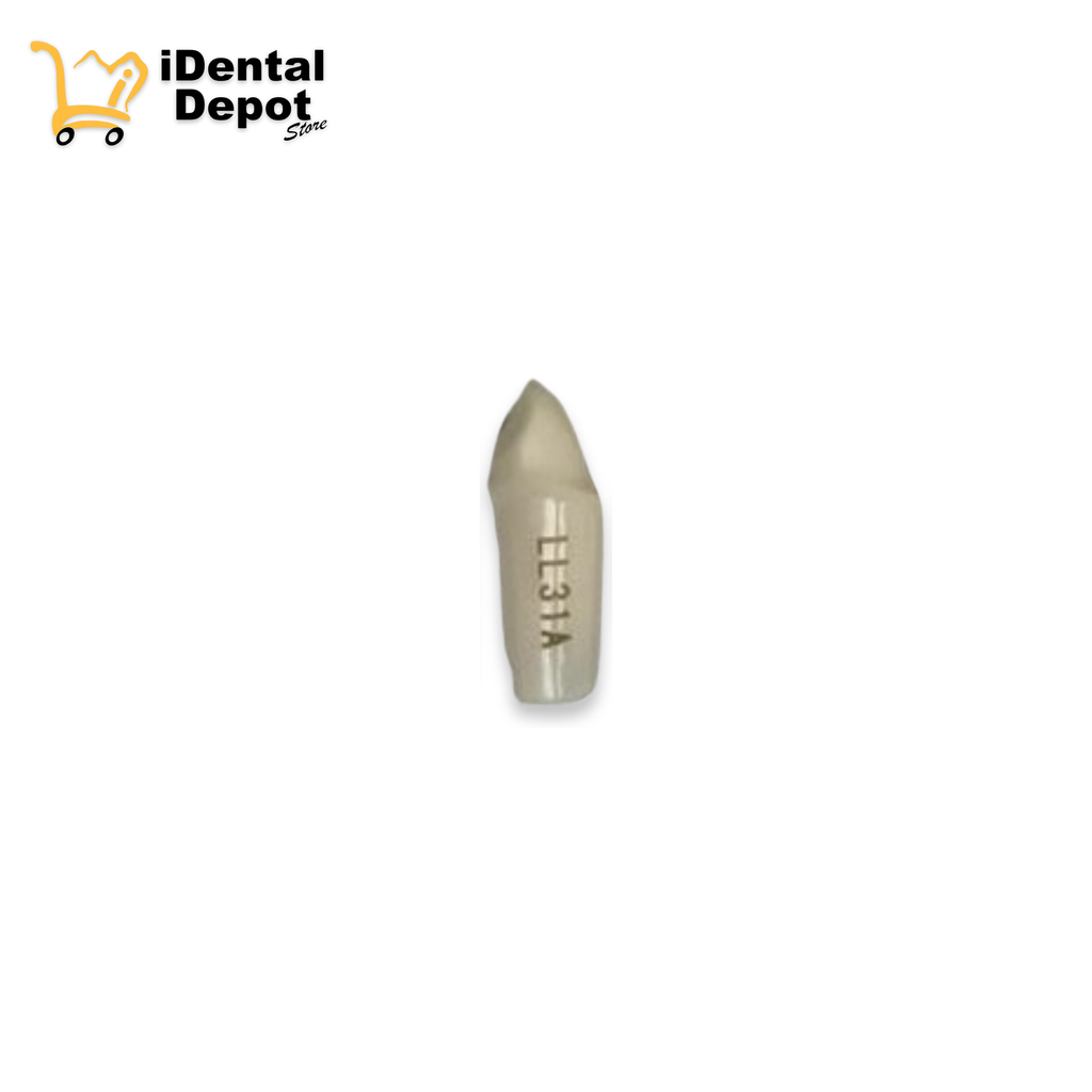 MUÑON NISSIN #33-LL31A