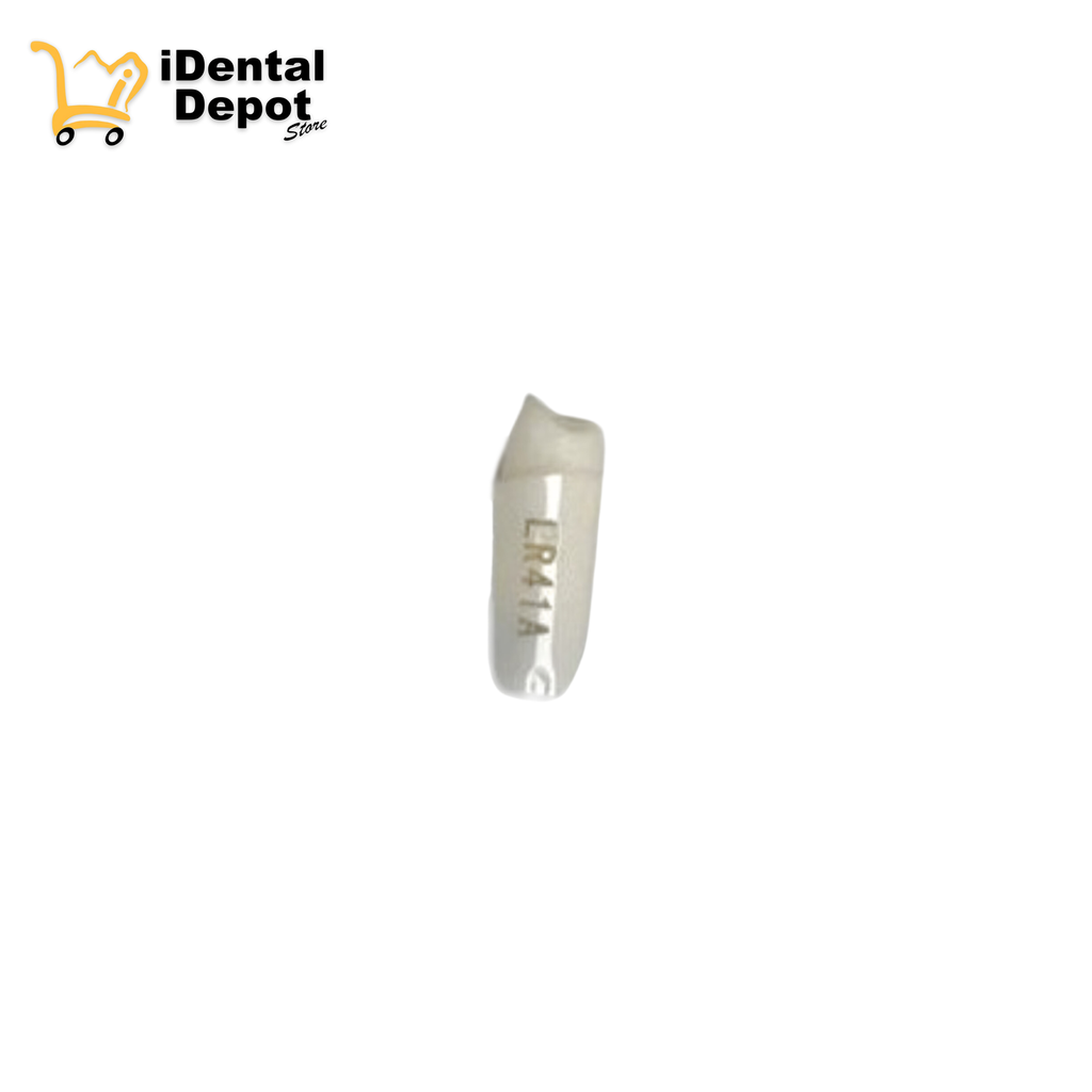 MUÑON NISSIN #44-LR41A