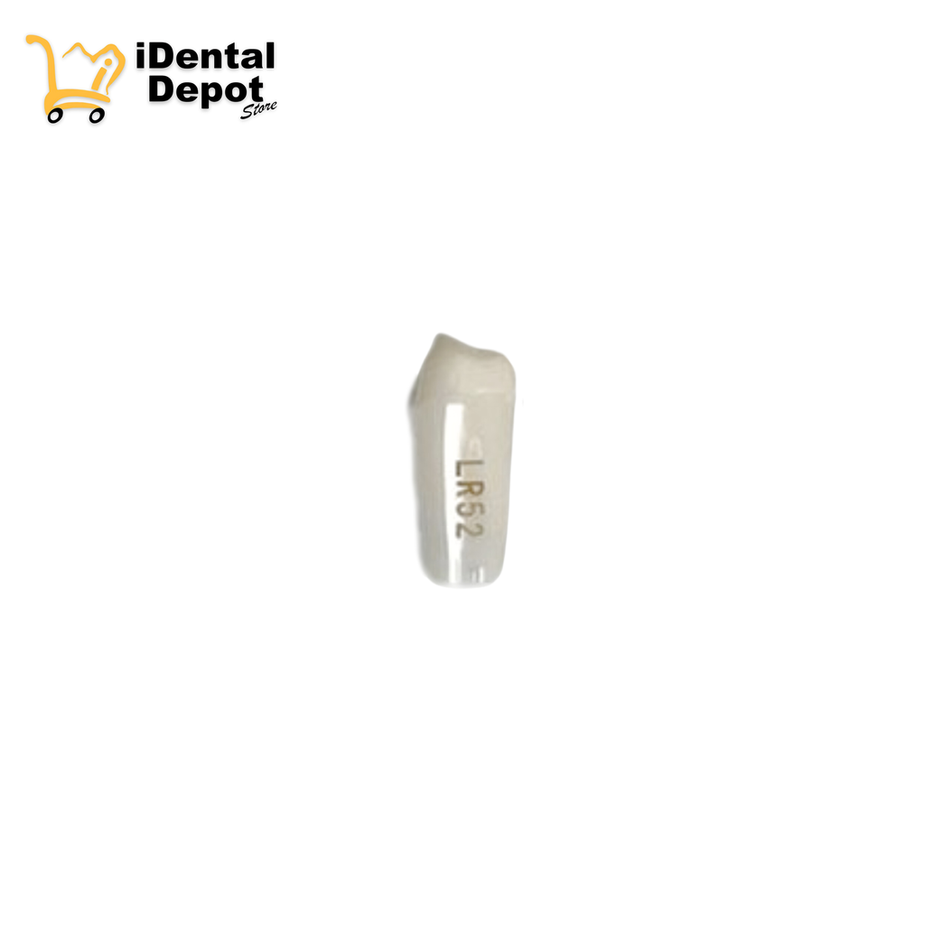 MUÑON NISSIN  #45-LR52