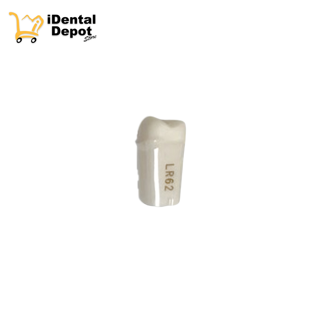 MUÑON NISSIN #46-LR62