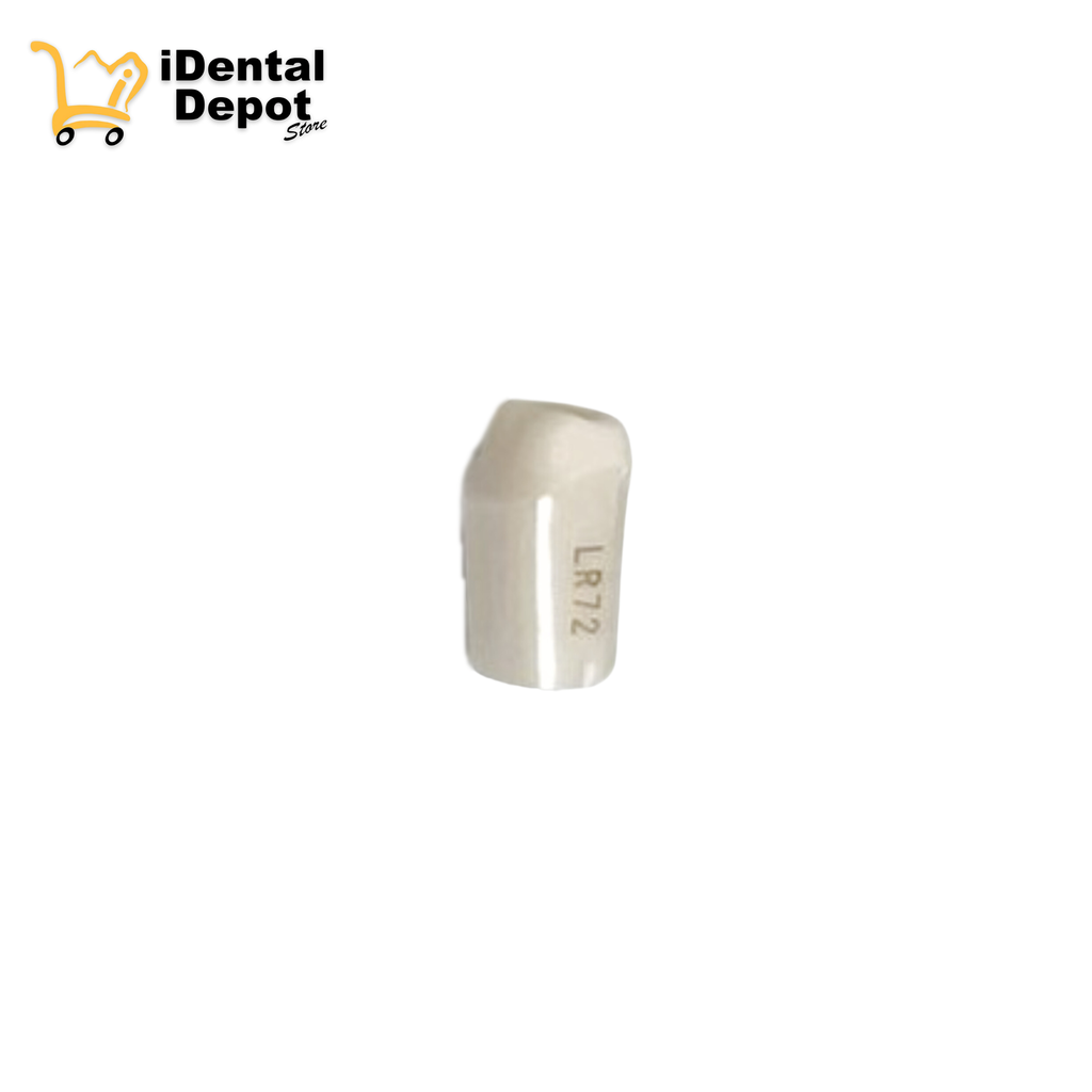 MUÑON NISSIN #47-LR72