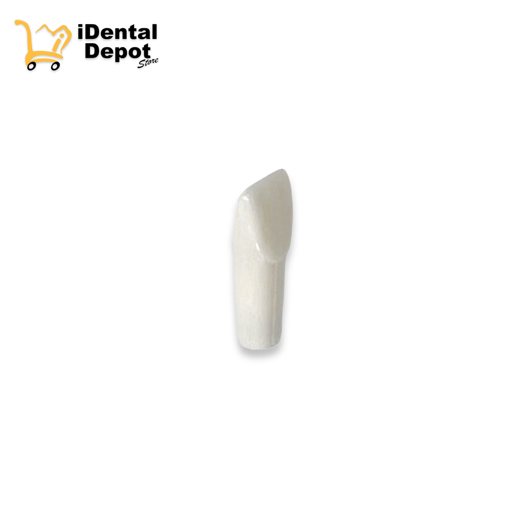 DIENTE NISSIN 21.CENTRAL SUP/IZQ PERMANENTE