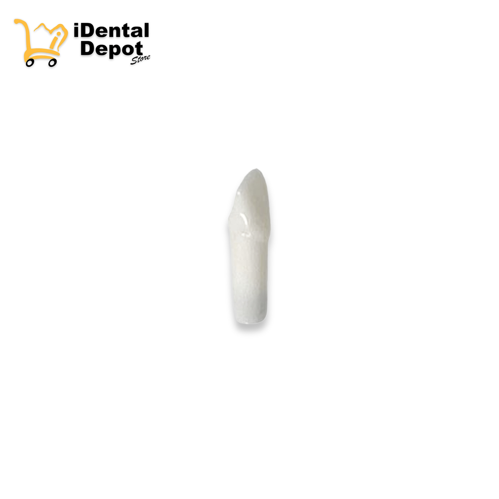 DIENTE NISSIN 22.LATERAL SUP/IZQ PERMANENTE