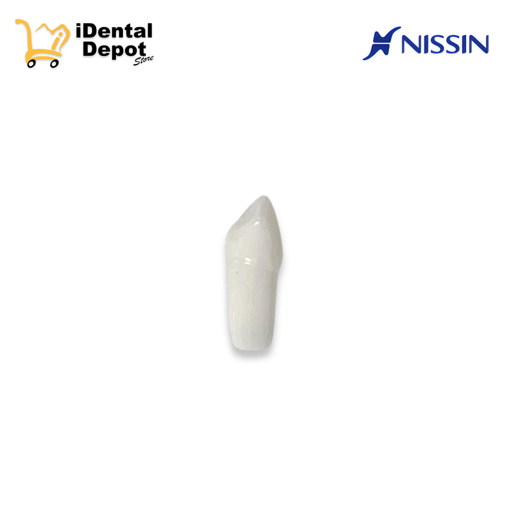 DIENTE NISSIN 13.CANINO SUP/DER PERMANENTE