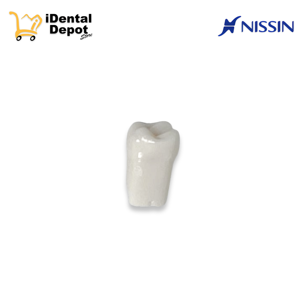 DIENTE NISSIN 16.PRIMER MOLAR SUP/DER PERMANENTE
