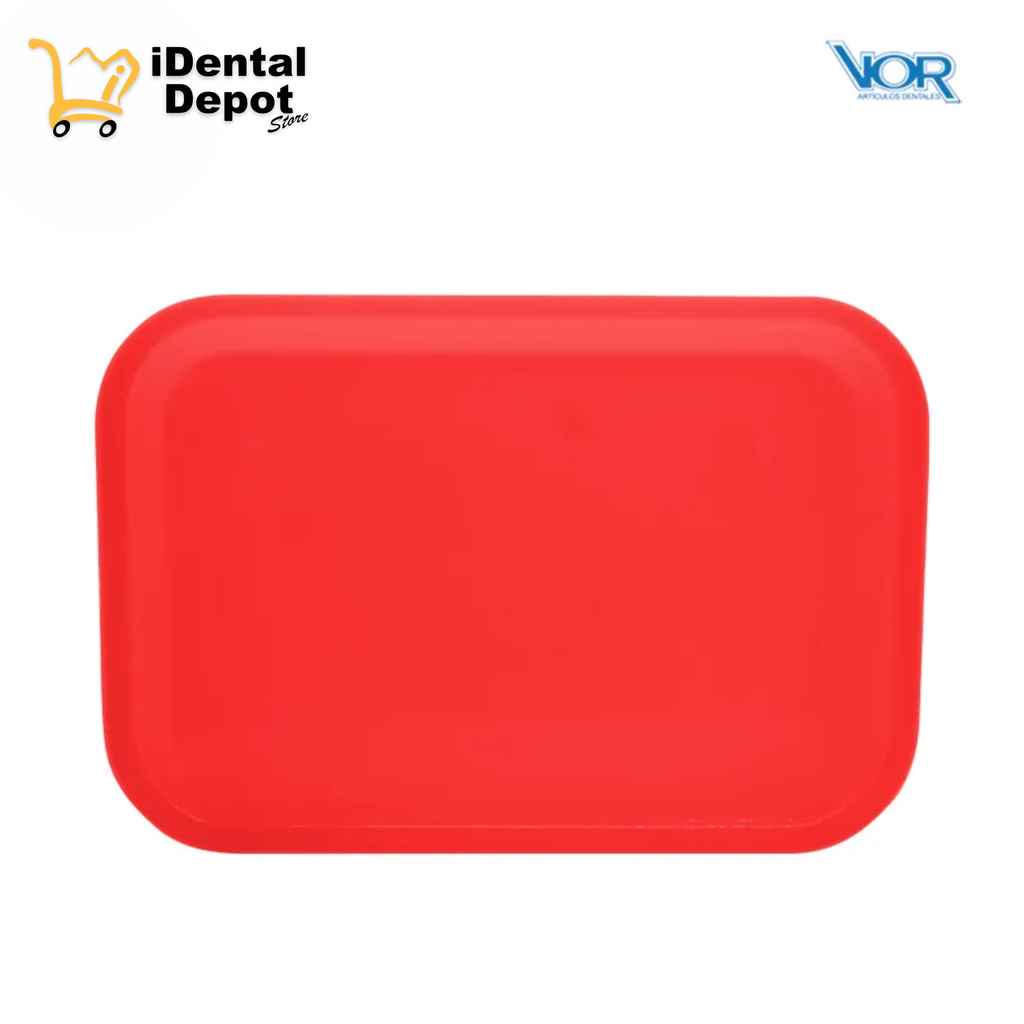 CHAROLA PLASTICO LISA CHICA ROJA