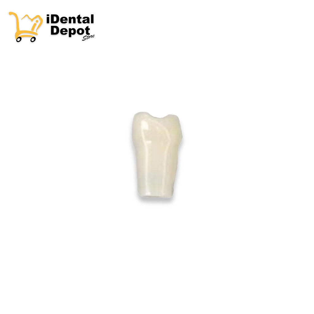 [13-A5AN20018 ] DIENTE NISSIN 18.TERCER MOLAR SUP/DER PERMANENTE
