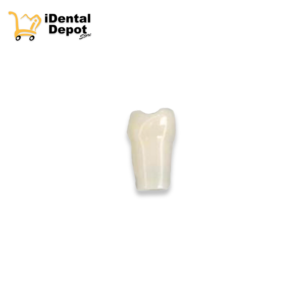 DIENTE NISSIN 28.TERCER MOLAR SUP/IZQ PERMANENTE