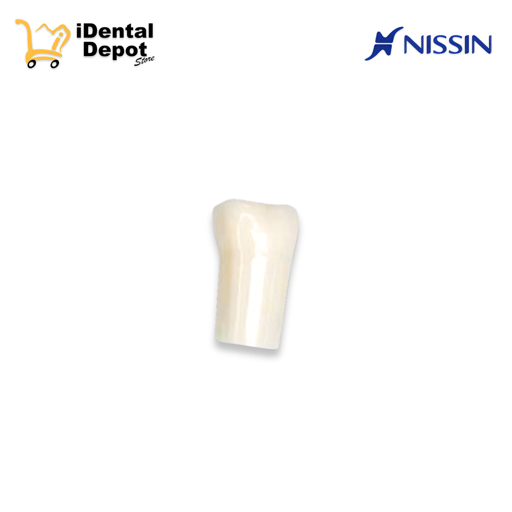 DIENTE NISSIN 25. SEGUNDO PREMOLAR SUP/IZQ PERMANENTE 