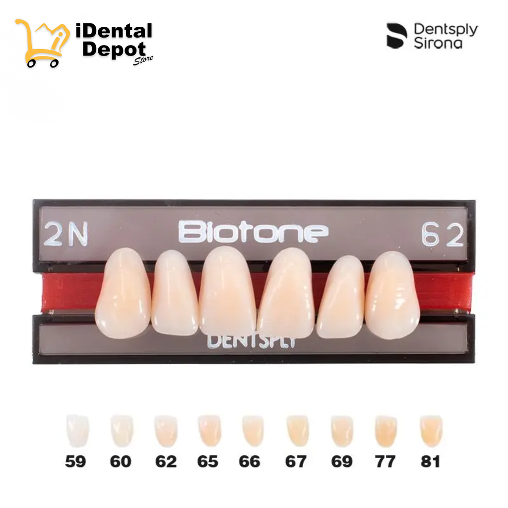 DIENTE ACRILICO ANT 2N-SUP-62 BIOTONE