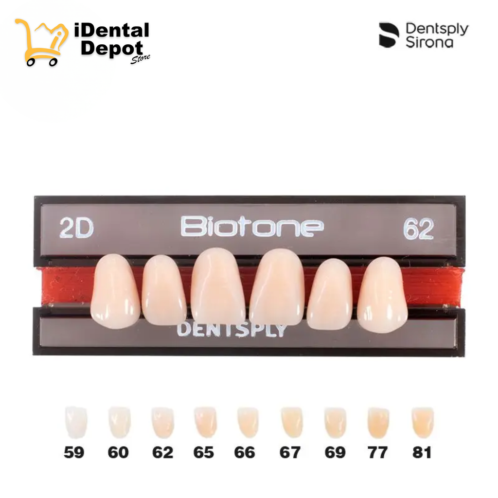 DIENTE ACRILICO ANT 2D-SUP-62 BIOTONE