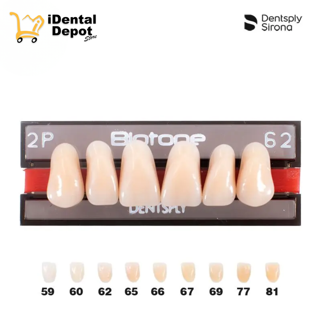[DPM01130271062] DIENTE ACRILICO ANT 2P-SUP-62 BIOTONE