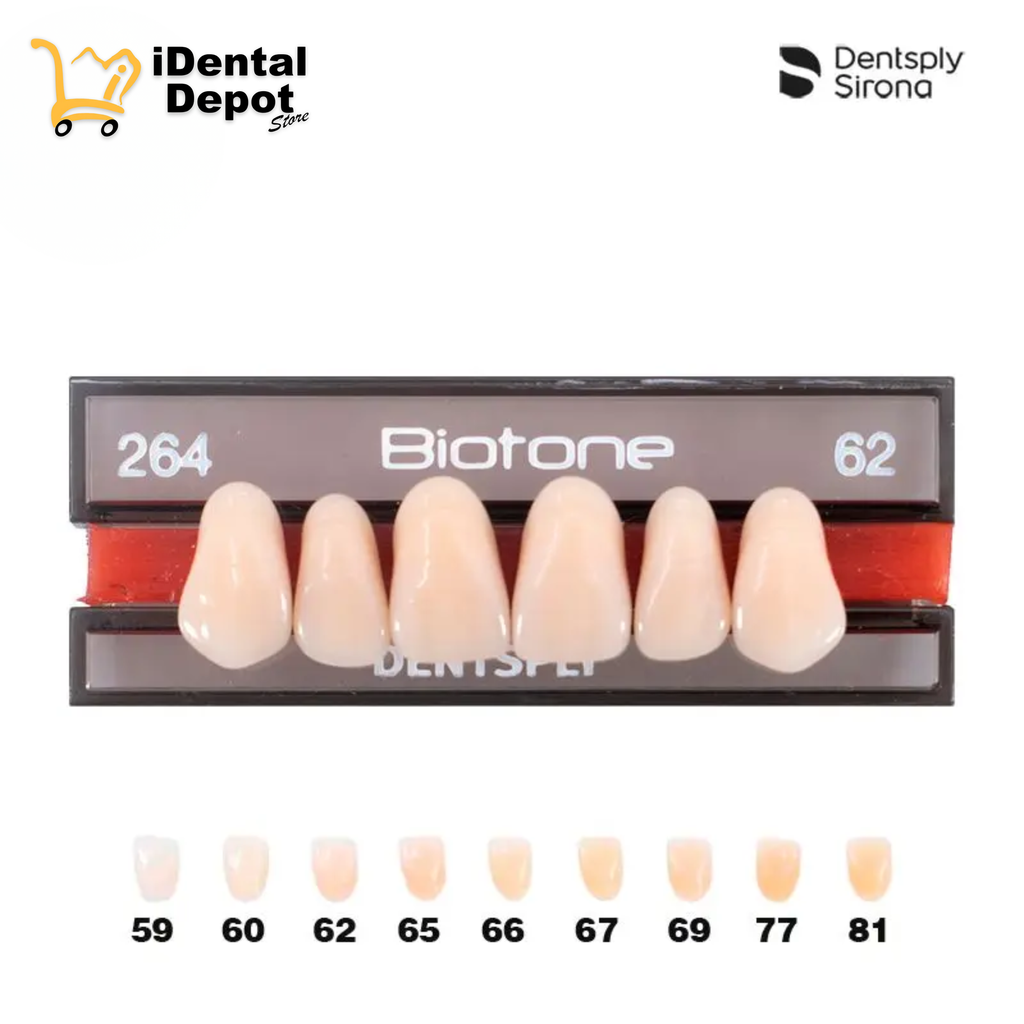 DIENTE ACRILICO ANT 264-SUP-62 BIOTONE