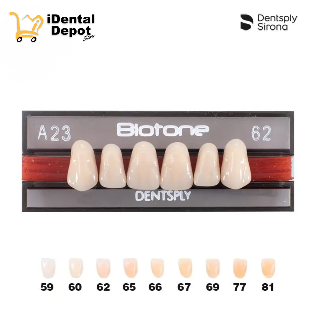 DIENTE ACRILICO ANT A23-SUP-62 BIOTONE