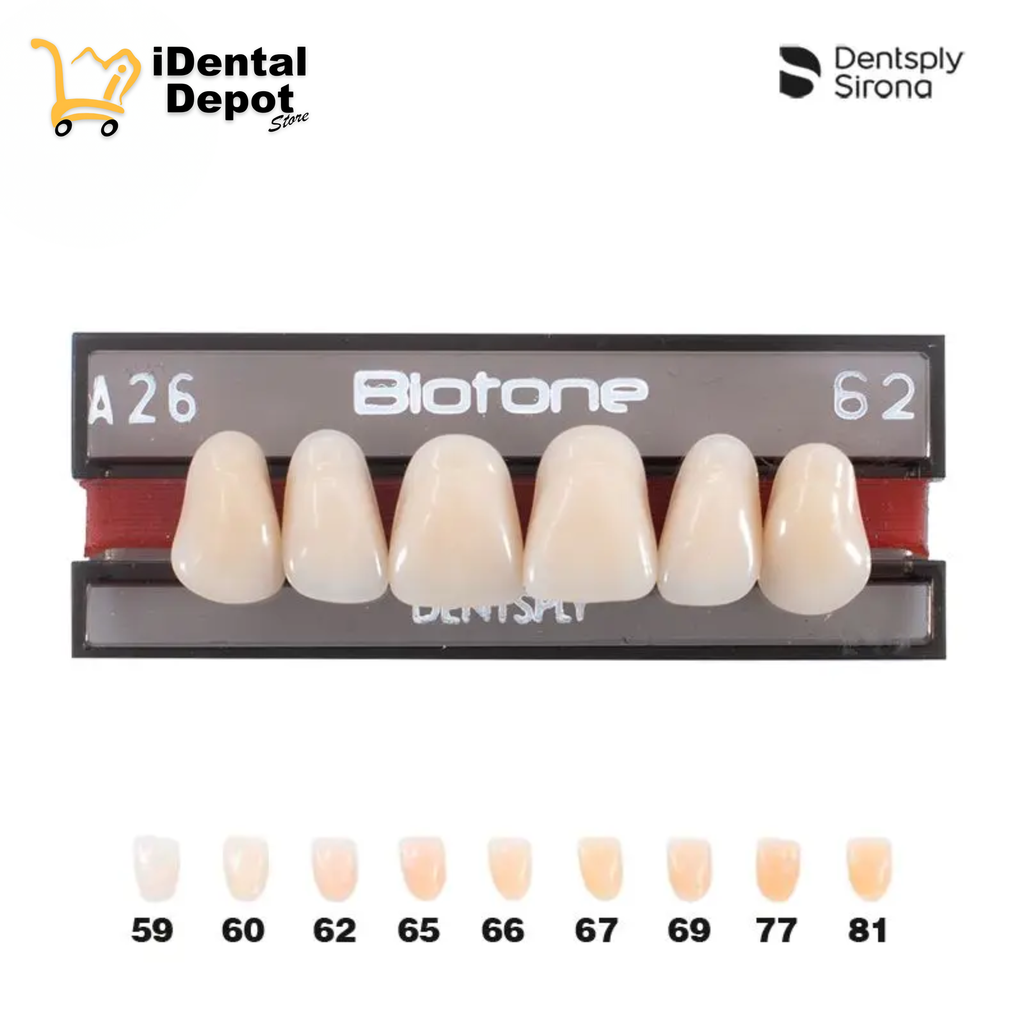 DIENTE ACRILICO ANT A26-SUP-62 BIOTONE