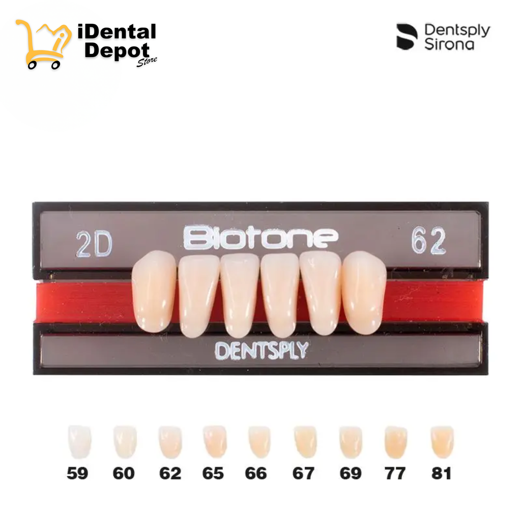 DIENTE ACRILICO ANT 2D-INF-62 BIOTONE