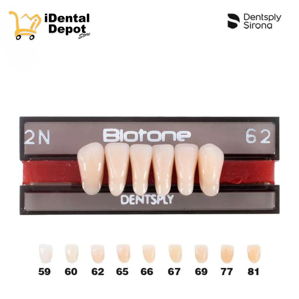 DIENTE ACRILICO ANT 2N-INF-62 BIOTONE