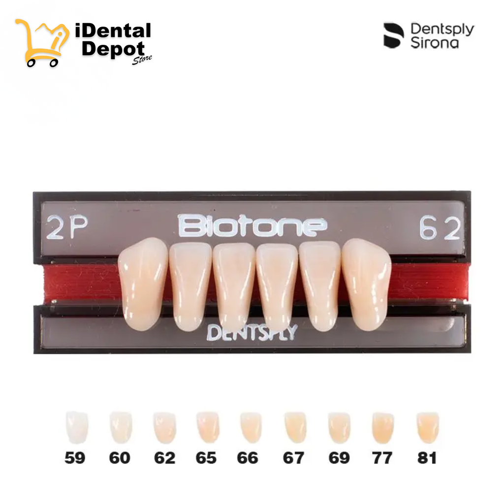 DIENTE ACRILICO ANT 2P-INF-62 BIOTONE