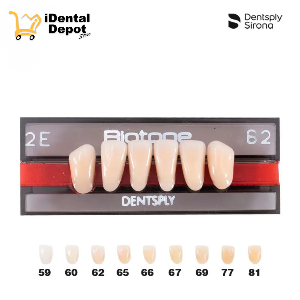 DIENTE ACRILICO ANT 2E-INF-62 BIOTONE