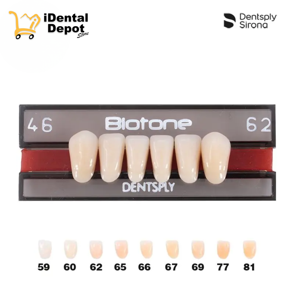 DIENTE ACRILICO ANT 46-INF-62 BIOTONE