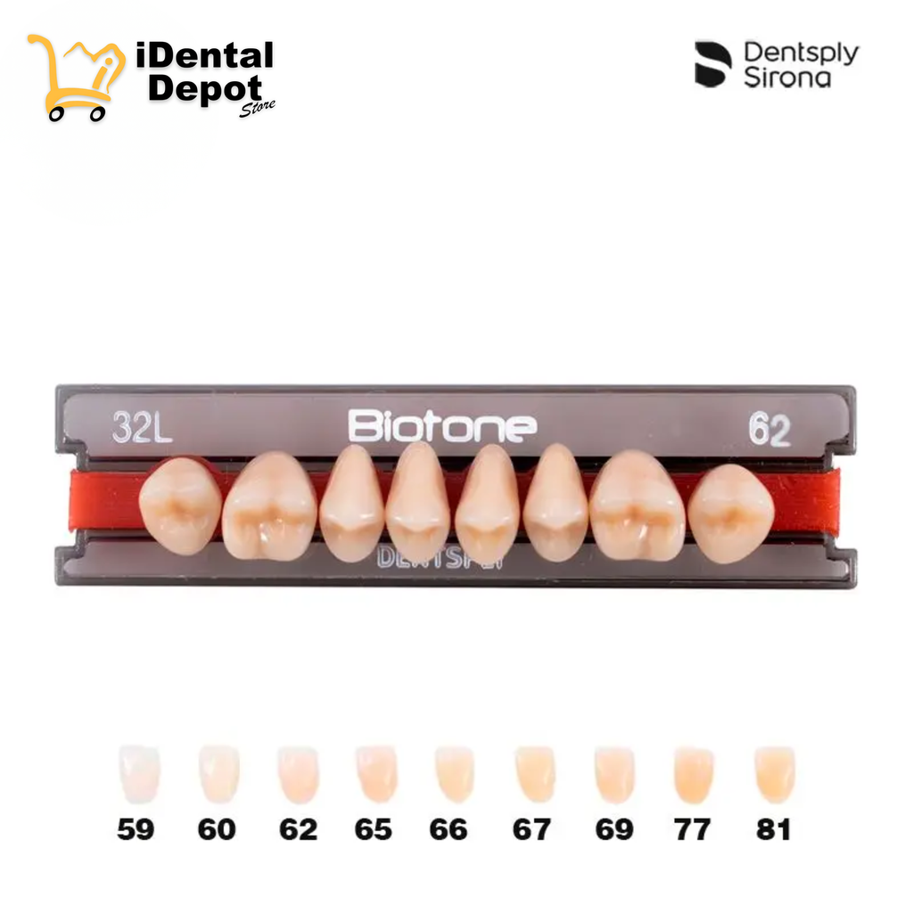 DIENTE ACRILICO POST 32L-SUP-62 BIOTONE