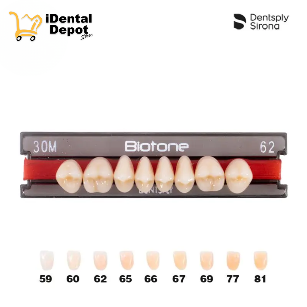 DIENTE ACRILICO POST 30M-SUP-62 BIOTONE
