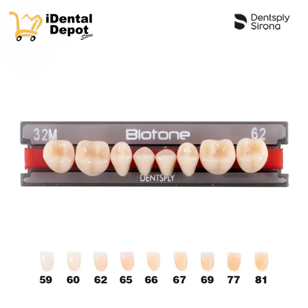 DIENTE ACRILICO POST 30M-INF-62 BIOTONE