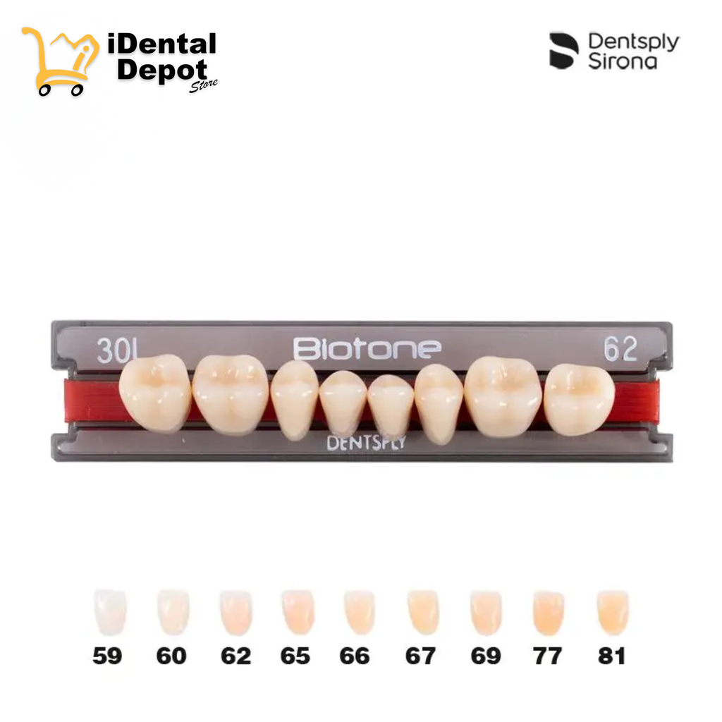 DIENTE ACRILICO POST 30L-INF-62 BIOTONE