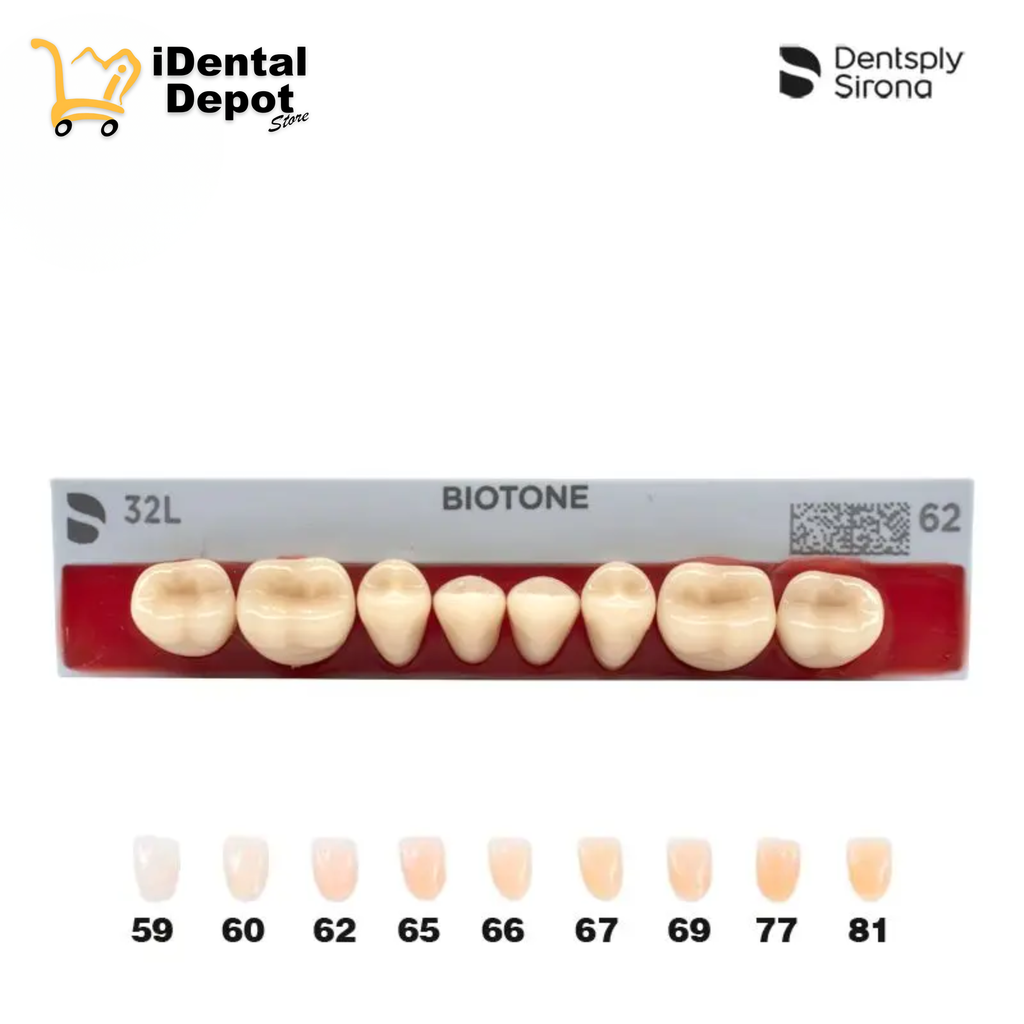 DIENTE ACRILICO POST 32L-INF-62 BIOTONE