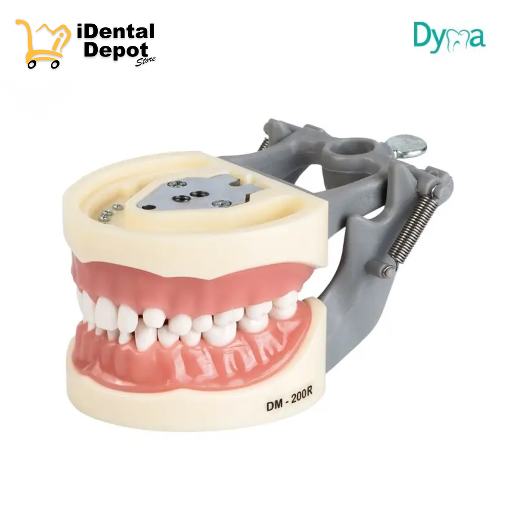 [DYMADM-200-RW] TIPODONTO TIPO NISSI ADULTO CON PREPARACIONES PLATINA METALICA DYMA