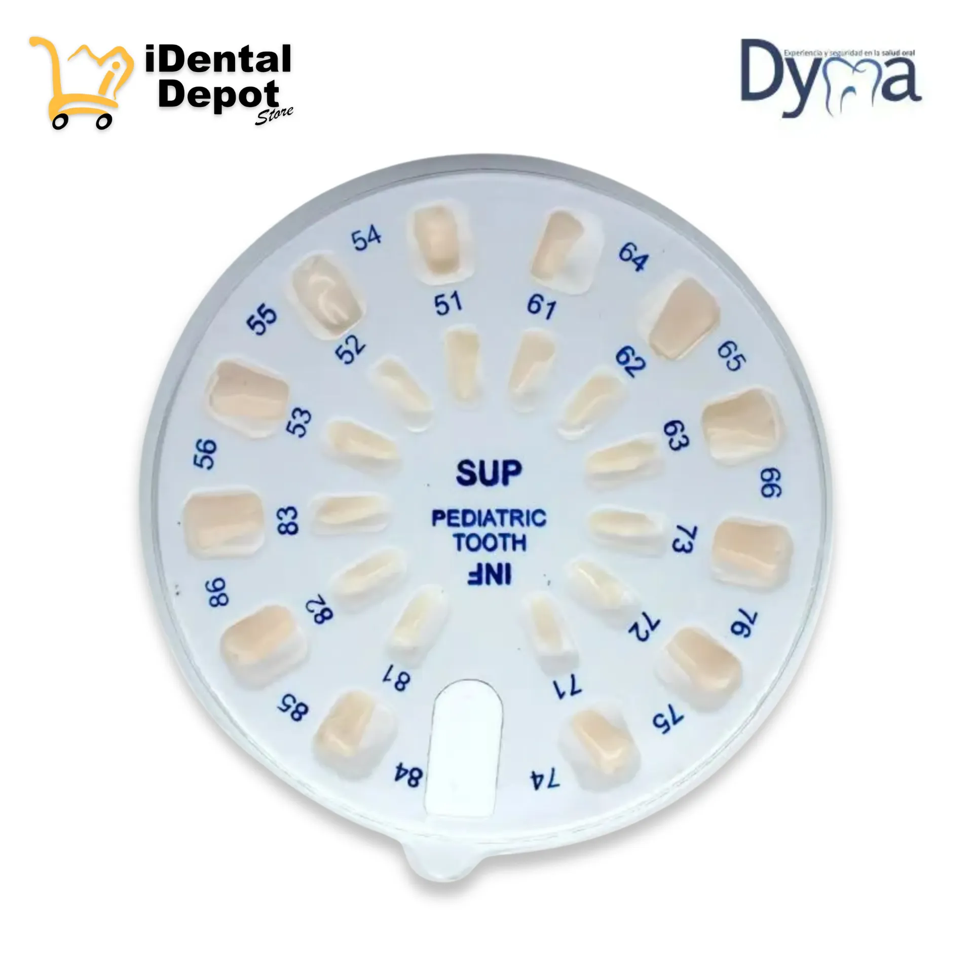 [DYMAD-PEDW-S24] DIENTES PARA TIPODONTO INFANTIL CON 24 TIPO COLUMBIA DYMA
