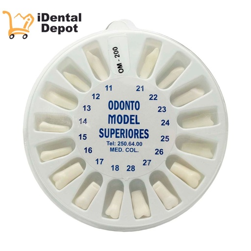 [OMD-212] DIENTES PARA TIPODONTO CON 32 TIPO NISSIN
